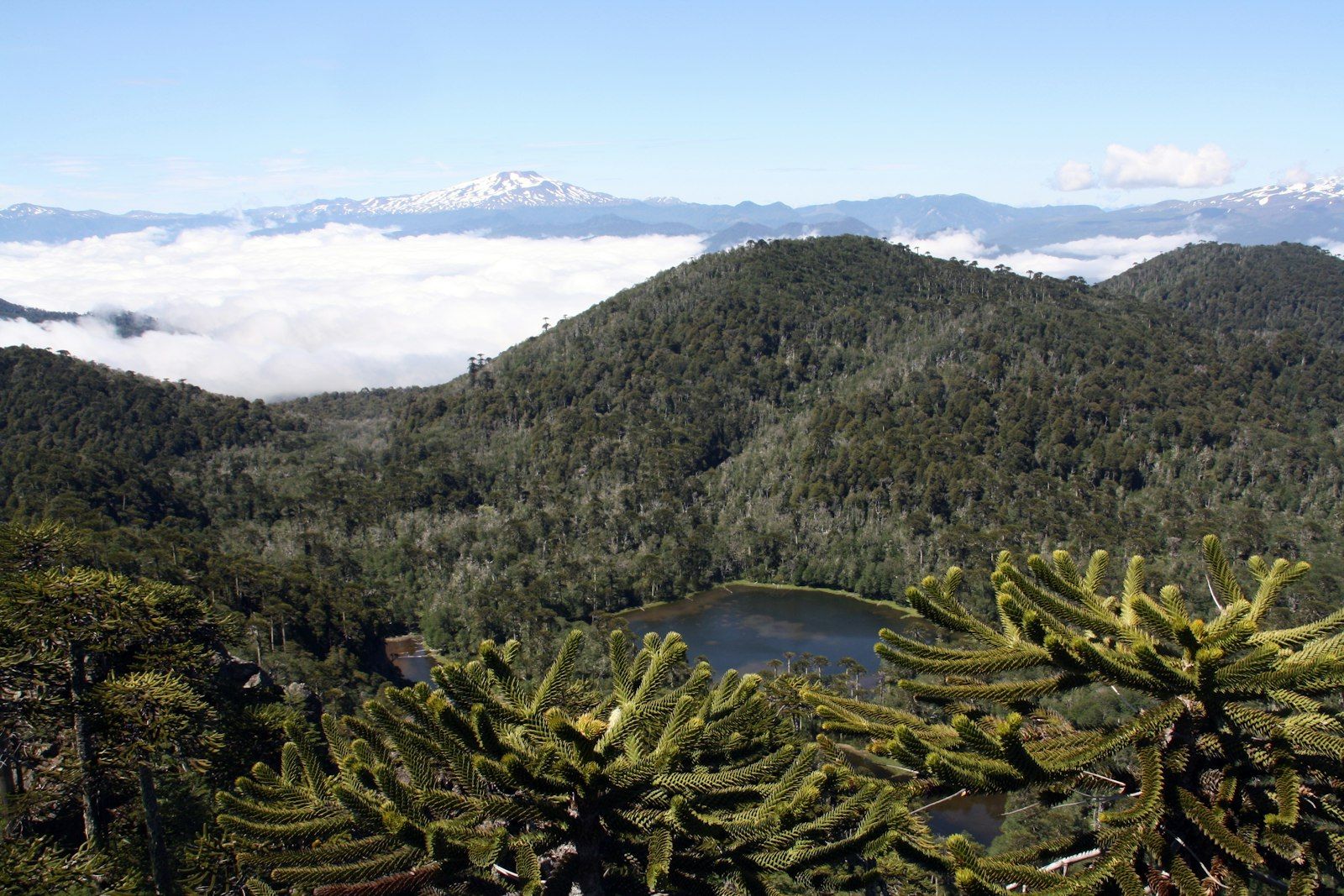 Campamento Bíblico